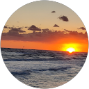 luca genovesi profile picture